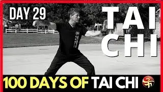I lost the Tai Chi video! | 100 Days of Tai Chi | Learn Tai Chi at Home