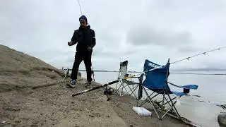 Striped bass fishing clifton court forebay delta bay area 