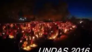 Buscomm Video