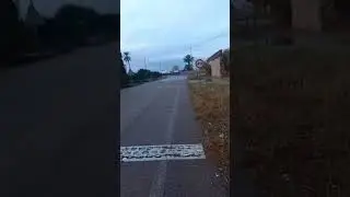 Пабла Ларга #shorts