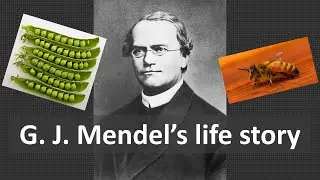 The life of Mendel