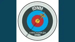 IDNM (Radio Edit)