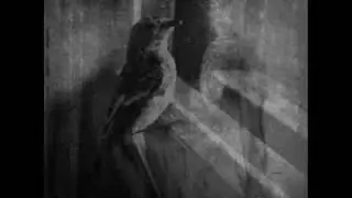 Peter Andersson: Tulpa Part III - The Meadow Dream