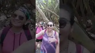 MANGLARES EN TAYRONA