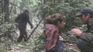 An Incident Report That Never Left an Idaho Forest District | Bigfoot Sightings
