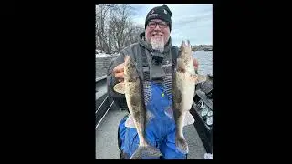 ABO | Mississippi Pool 4..Great Sauger action!! #fishing #mississippi #redwingpool4