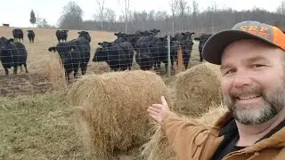 New Years Eve Farmers Party with the Cows