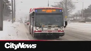 Commuters navigate TTC line 6 issues, GO service adjustments during winter storm
