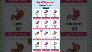 Food Digestion Time Chart | How Long Different Foods Take to Digest Naturally#FoodDigestion #health