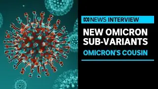 New warnings about two more Omicron sub-variants emerging | ABC News