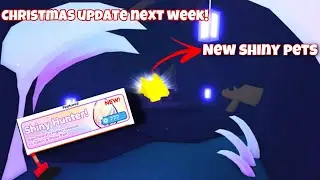 Pet Simulator X New Shiny Update (Secret Way To Boosts Shiny Chances)