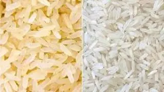 প্লাস্টিকের চাল কিভাবে তৈরি করে দেখুন । See How To Make Plastic Rice । In Side Of Factory