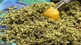 Smoke and Ride | Cannabis Creation | KAI Chemdozer | Homies Live Resin | Infused Doobie | 