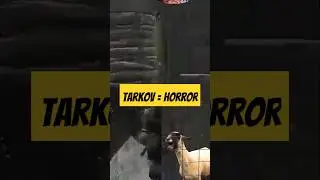 Tarkov is a horror game #gaming #escapefromtarkovfunnymoments #escapefromtarkov #eft #tarkov