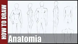 ✎ Jak narysować postać | Anatomia ♀ ♂