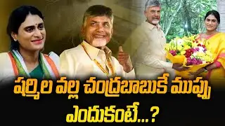 షర్మిల వల్ల చంద్రబాబుకే ముప్పు ఎందుకంటే..? | YSRCP vs. Congress rivalry | YSRCP vs. Congress vs. TDP