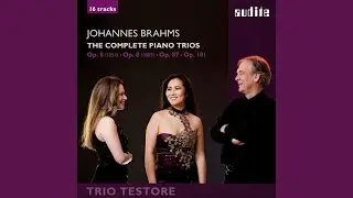 Piano Trio No. 3 in C Minor, Op. 101: I. Allegro energico