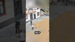 Забота и сплоченность этих соседей действительно достойны восхищения.