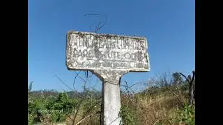 Ramal de Viseu