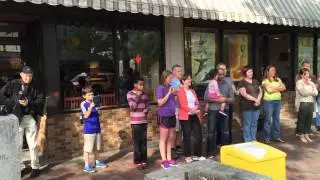 GMCO - Great Meadows Chamber Orchestra - Flash Mob