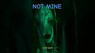 (NOT MINE) CREDIT:@Omnicarp