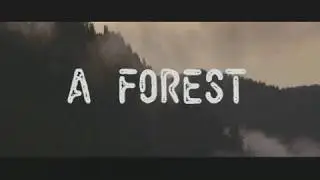 Nikproteus - A Forest