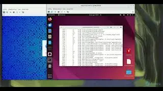 Visualizaci&oacute;n de procesos y comandos importantes en GNU/Linux