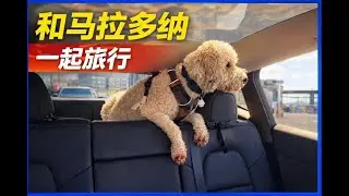 和马拉多纳一起旅行｜Travel with El Pelusa