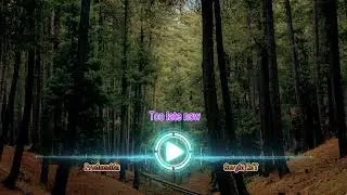 Sergio RdT - Too late now