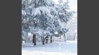SlowSteps on Snow