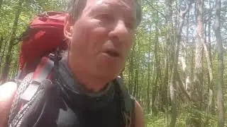 Day 81  Bear Charge !! Rocky Mountain Shelter to Tom Runs Shelter Mile 1099 Appalachian Trail 2018