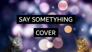 Say Something | A Great Big World, Christina Aguilera (Cover) Memorial a Kitty