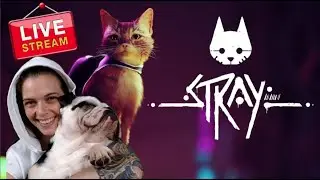LIVE! Cyberpunk Backpack Cat Adventures! AKA... STRAY! New game, released today hype!