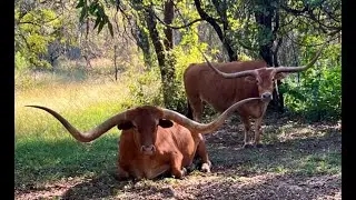 Historic Somervell County Ranch on the Bosque River