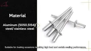 2022 year best supplier for closed end blind rivet