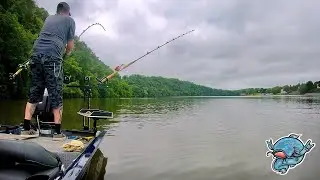 Приманки для ловли сома