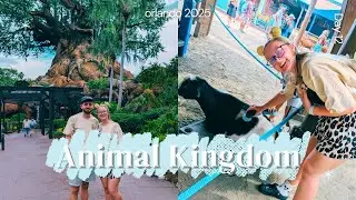 ANIMAL KINGDOM DAY🦁 | Dinosaur's Last Ride, Zootopia & Animal Encounters 🐐 | Orlando Travel Day 12 ✨
