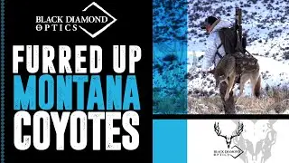 Furred Up Montana Coyotes &mdash; охота с оптикой Black Diamond