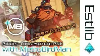 Paladins with MetroBirdMan - Team Fortress 2 Barik / Ascencion Peak