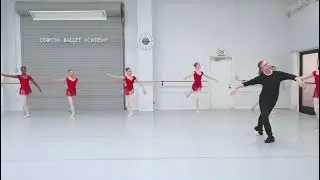 How to do Adagio at the Barre Combination #dance #dancevideo #ballet
