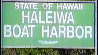 Big Wave Surfing @ The North Shore 1998