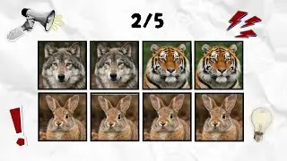 Match The Animals Fast | Wolf Tiger Parrot Rabbit Puzzle