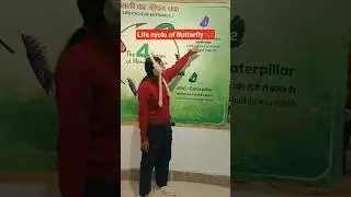 Life cycle of butterfly#study #2026 #science #reel