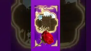 #saveh#iran#saveh_city