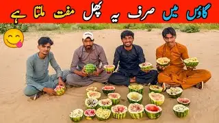 Thar Ka Nayab Phal🍉: A Memorable Day with Friends🥰