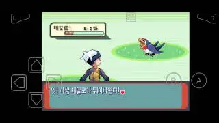 [GBA]포켓몬스터 루비 2화: 등화숲