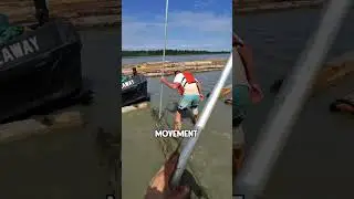 Как реки помогают эффективно перемещать древесину