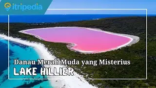 Lake Hillier, Danau Merah Muda yang Misterius di Australia Barat