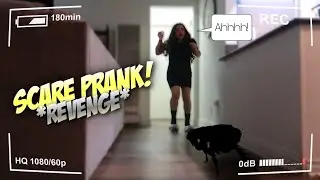 FAKE BUG SCARE PRANK ON GIRLFRIEND!! *HILARIOUS*