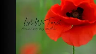 Remembrance Day, Lest We Forget, Relaxing Ambience, Peace to All